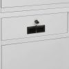 Office Cabinet Light Gray 35.4"x15.7"x70.9" Steel and Tempered Glass